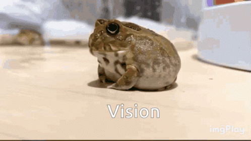 Frog On Table With Vision GIF