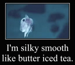 Frog Saying I M Silky Smooth Like Butter Iced Tea
