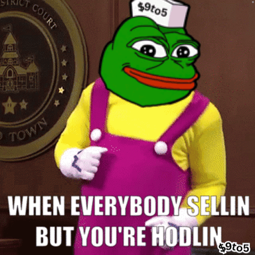 Frog Saying When Everybody Selling But You're Hodlin