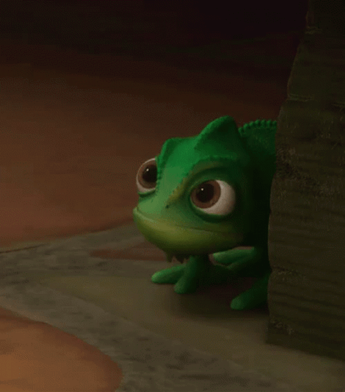 Frog Says Go On GIF