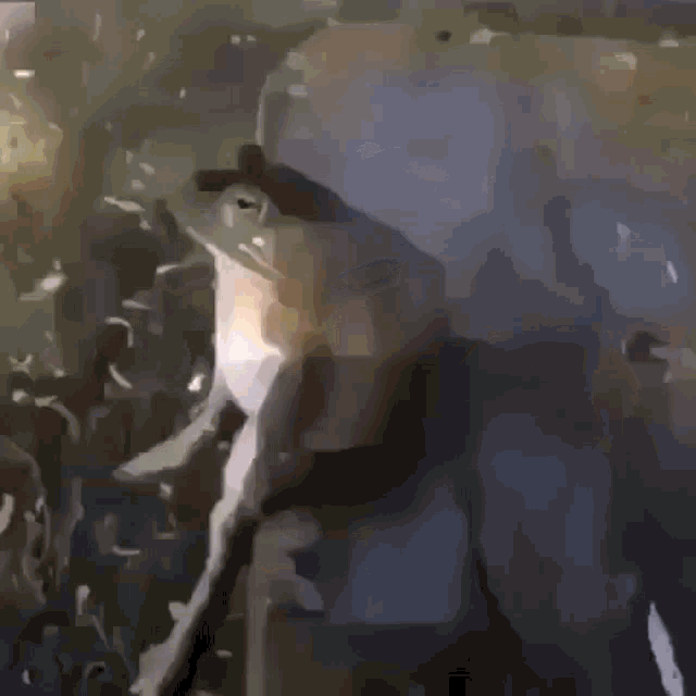 Frog Sit Sitting Frog Gif GIF