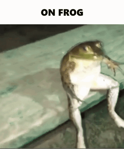 Frog Sitting Cross-Legged With On Frog Above