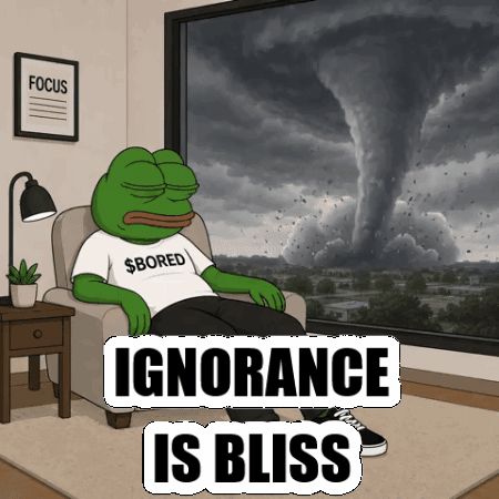 Frog Sitting In Chair Ignorance Is Bliss GIF