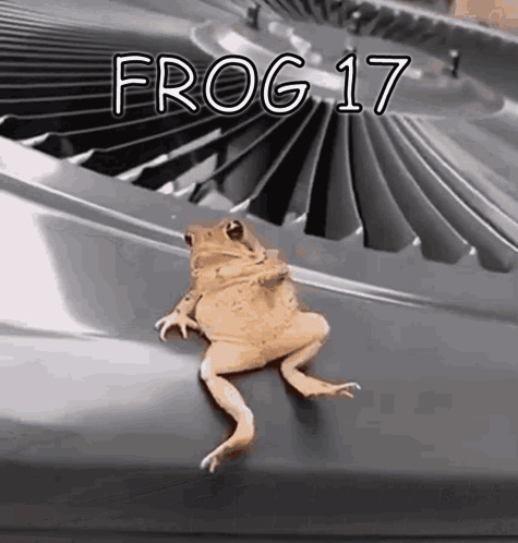 Frog Sitting On Air Conditioner GIF