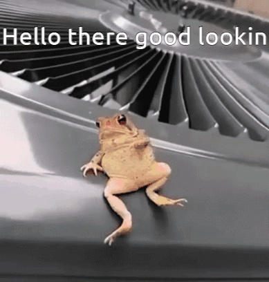 Frog Sitting on Fan Saying Hello There Good Lookin