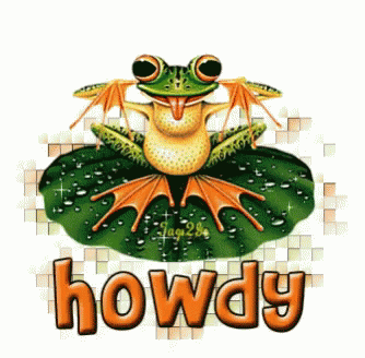 Frog Sitting on Green Leaf Howdy