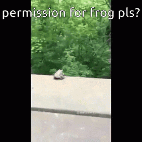 Frog Sitting On Side Of Road GIF