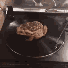 Frog Spinning On Phonograph GIF