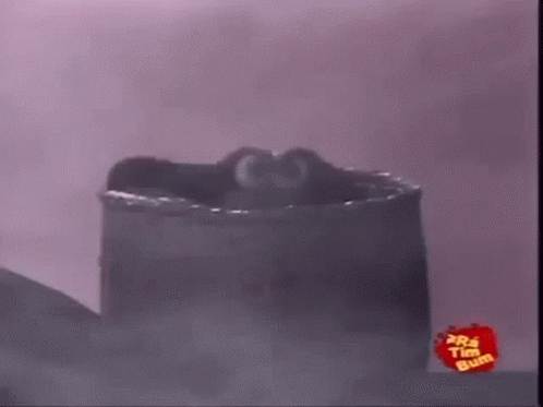 Frog Standing on Barrel in Foggy Room