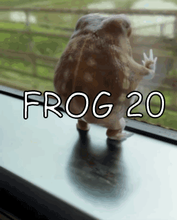 Frog Standing on Window Sill with Frog 20