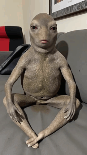 Frog Statue Sitting On Couch GIF