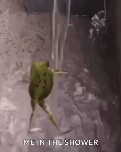 Frog Walking Through Shower Saying Me in the Shower