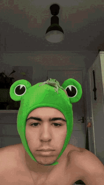 Frog Wearing Frog Hat GIF