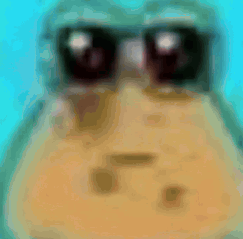 Frog Wearing Sunglasses Close Up Blue Background