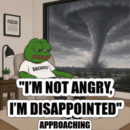 Frog With Bored Shirt Sits in Front of Window