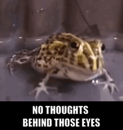 Frog with No Thoughts Behind Those Eyes