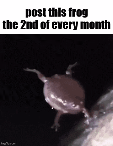 Frog With Post This Frog Text GIF