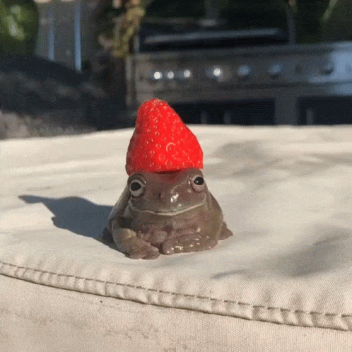 Frog With Strawberry on Head Sitting on Cushion