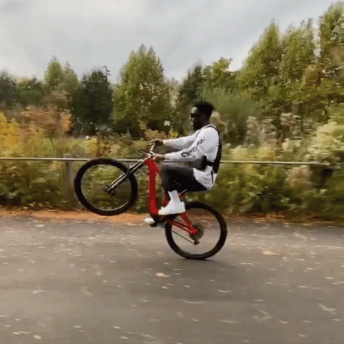 Front Wheel Bike Riding Stunt Display GIF