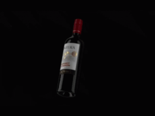 Frontera Cabernet Sauvignon Wine Bottle