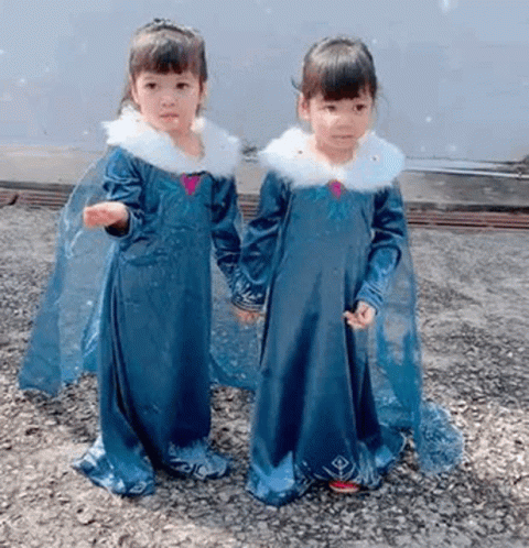 Frozen Elsa Costume Dress Of Birthday Twins GIF
