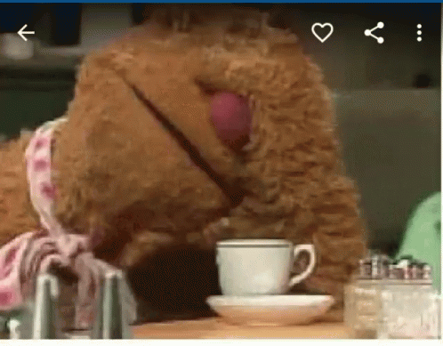 Frozzie Bear Im Surrounded By Idiots GIF