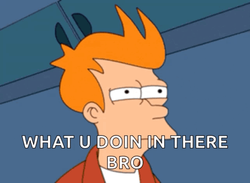 Fry Futurama What U Do In There Bro