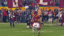 Fsu Chaotic Parade Horse Tripped GIF