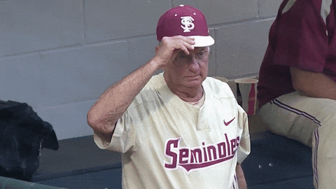 Fsu Fan Cap GIF