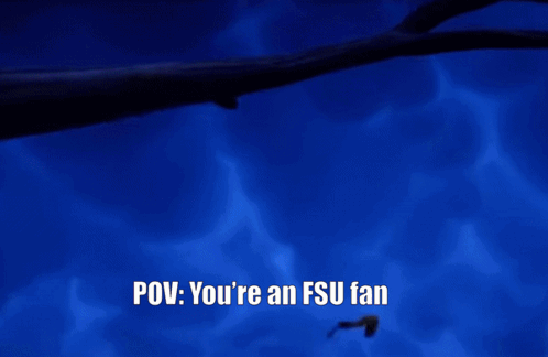 Fsu Fan Waking At Night GIF