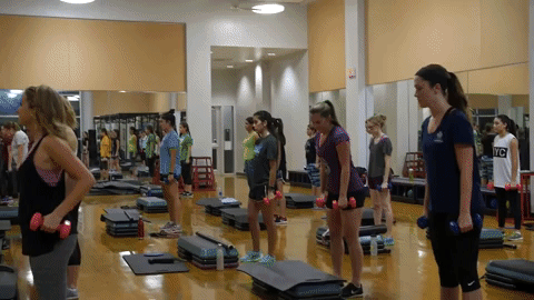 Fsu Fitness Training GIF