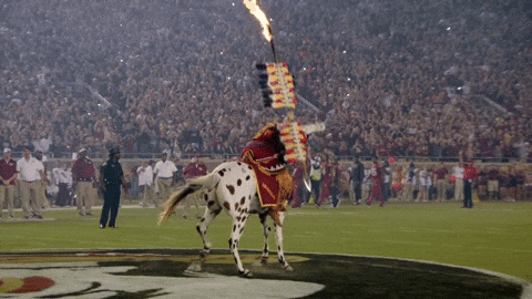 Fsu Horse In The Field GIF