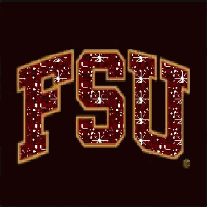 Fsu Shining Letters GIF