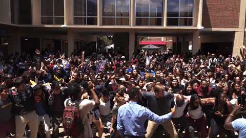 Fsu Student Festival GIF