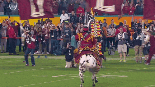 Fsu Terrified Horse GIF