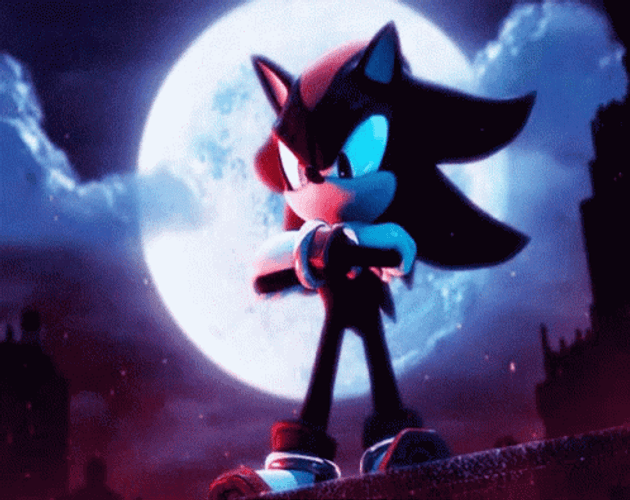 Full Moon And Shadow The Hedgehog GIF