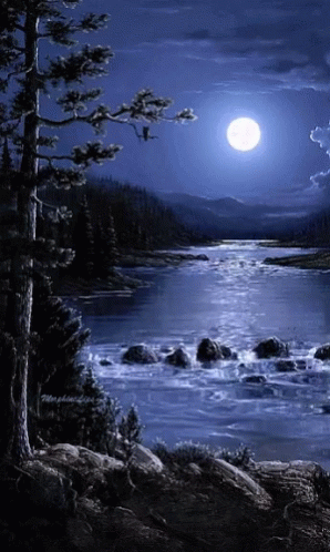 Full Moon Beautiful River Nature GIF