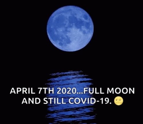 Full Moon Blue Color GIF