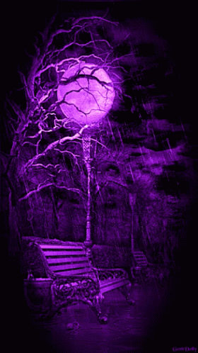 Full Moon in a Park