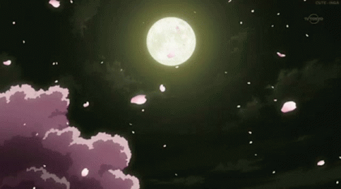 Full Moon in Dark Sky With Falling Petals
