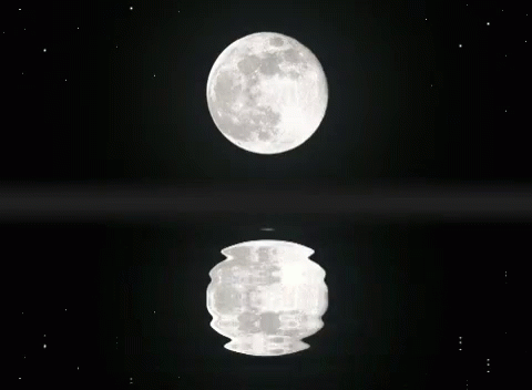 Full Moon Reflected in Dark Pool