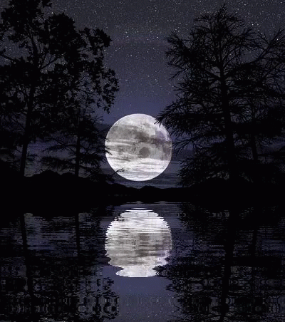 Full Moon Reflected In Water Surrounded By Trees GIF
