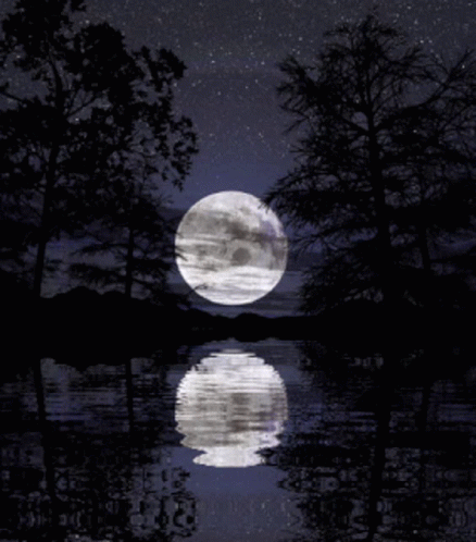 Full Moon Reflection On Water GIF