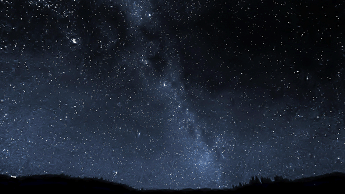 Full Moon Siberian Husky GIF