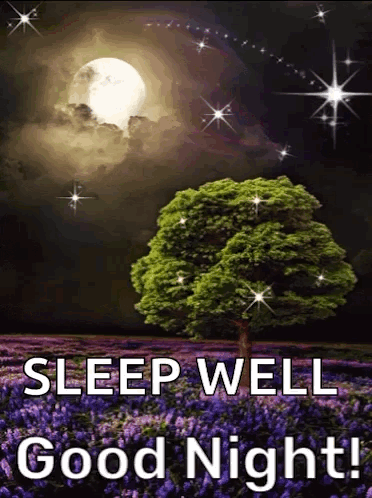 Good Night Gif Free
