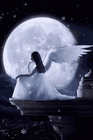 Full Moon Wings Gif GIF