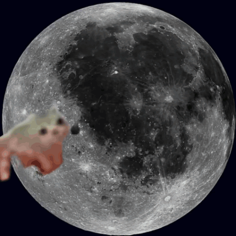 Full Moon With Frog