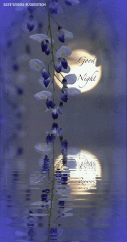 Full Moon With Good Night GIF