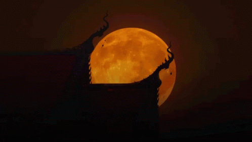 Full Moon With Here's Why This Year's Harvest Moon Will Be So Special GIF