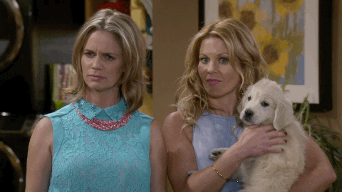 Fuller House Caressing A Dog GIF
